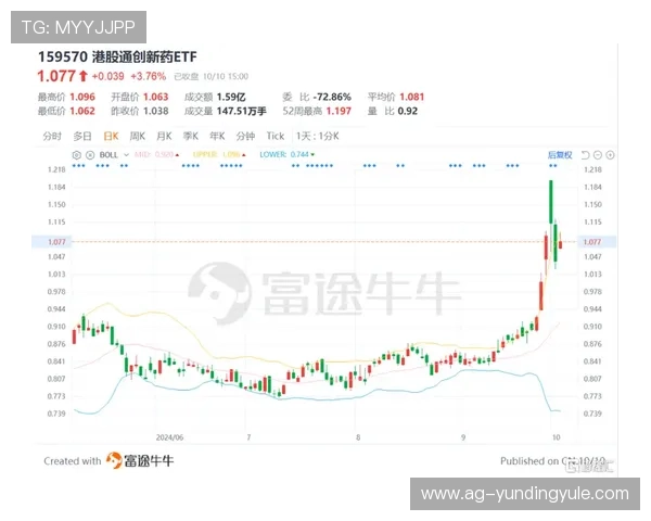 云顶投资有限公司在国内外市场中的投资成果与市场表现