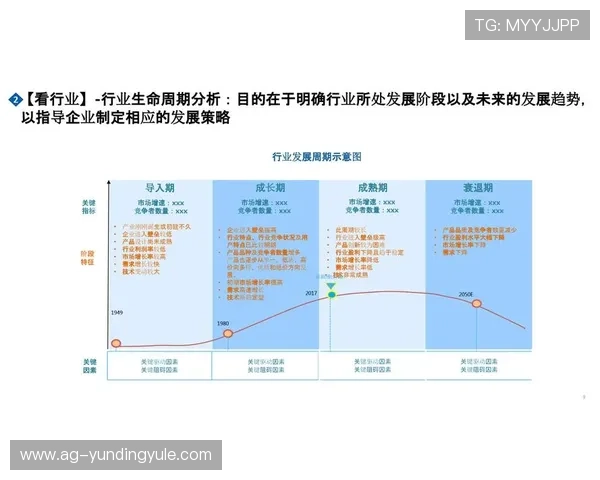 云顶集团公司在创新驱动下的产业升级与市场扩展策略