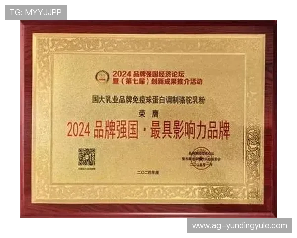 2024年4008云顶集团品牌官网最新功能与服务指南 2024年4008云顶集团品牌官网最新功能与服务指南