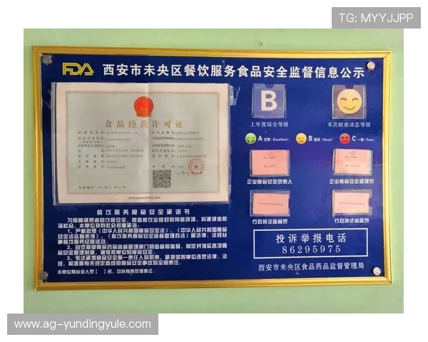 云顶登录网站安全登录流程详解，保障玩家账号信息安全