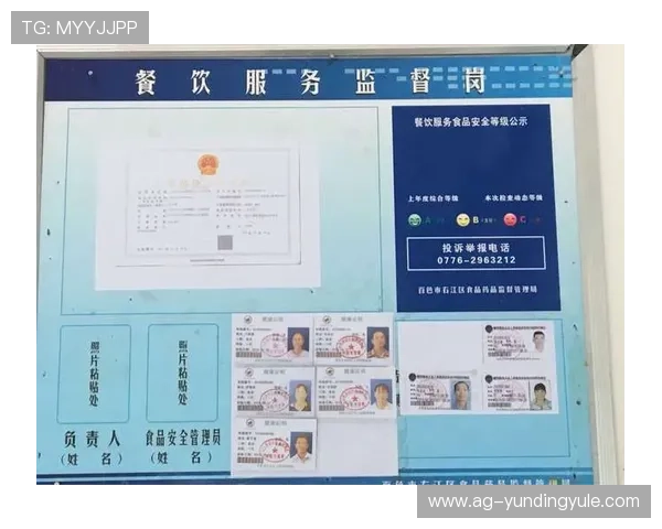 云顶网站入口官方公告，最新登录入口地址及安全提示