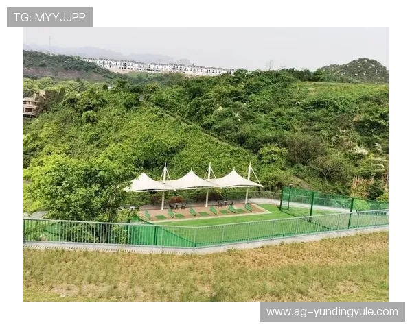 云顶国际体育平台移动端体验优化，随时随地畅享体育博彩乐趣的实用技巧