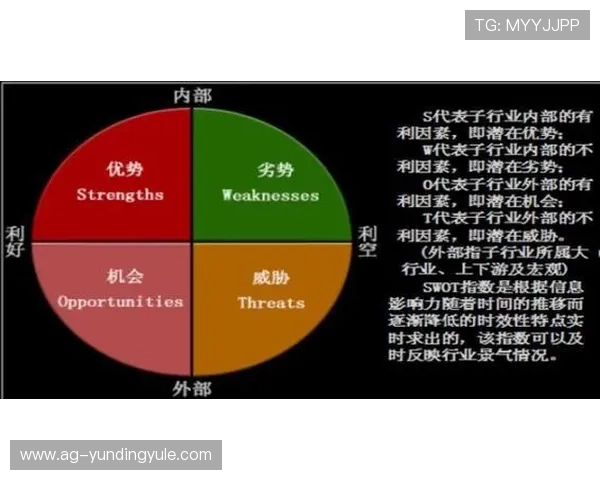 云顶集团简介概况：云顶集团在国内外市场的竞争优势与合作伙伴关系