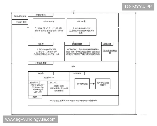 全面解析445云顶国际网站的注册流程与账号安全保障措施
