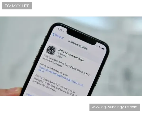 苹果设备云顶国际官网下载安装流程全解析，确保每一步都顺利进行
