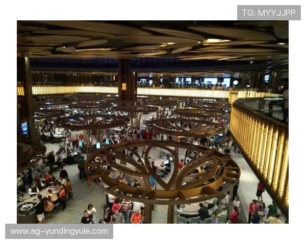 马来西亚云顶有限公司的主营业务范围及市场布局详解